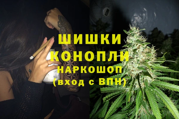 spice Богданович