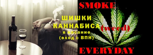spice Богданович