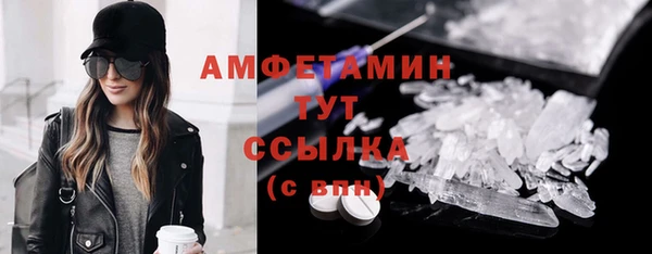 крисы Богородицк