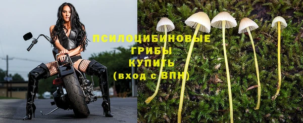 spice Богданович