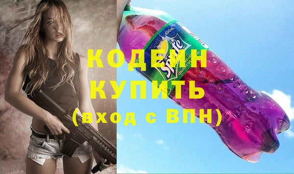крисы Богородицк