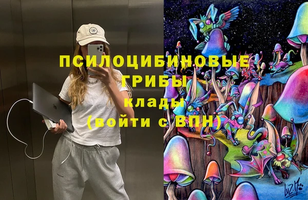 крисы Богородицк
