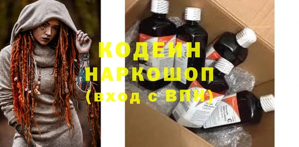 крисы Богородицк