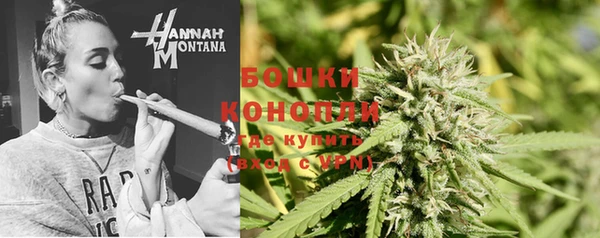 крисы Богородицк