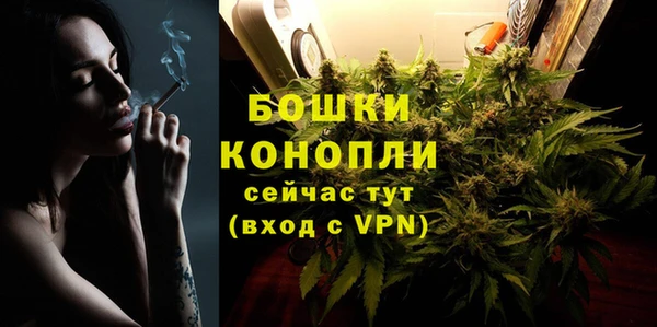 крисы Богородицк