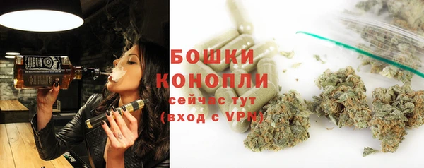 крисы Богородицк