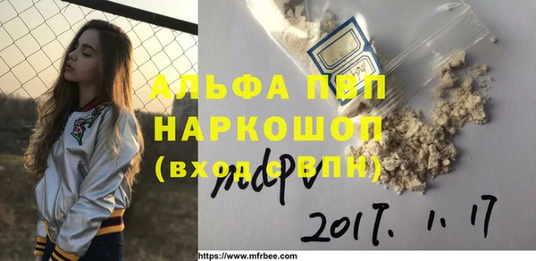 spice Богданович