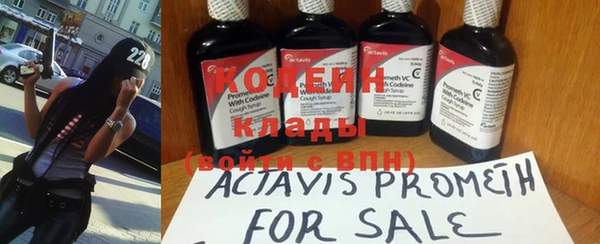 крисы Богородицк