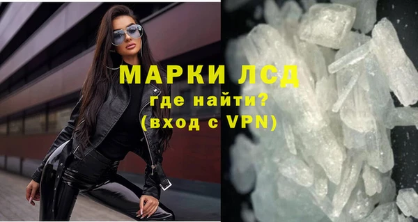 spice Богданович