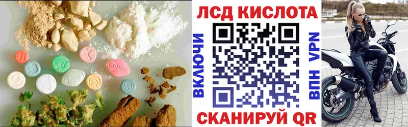 omg сайт  Магас  Лсд 25 экстази ecstasy 